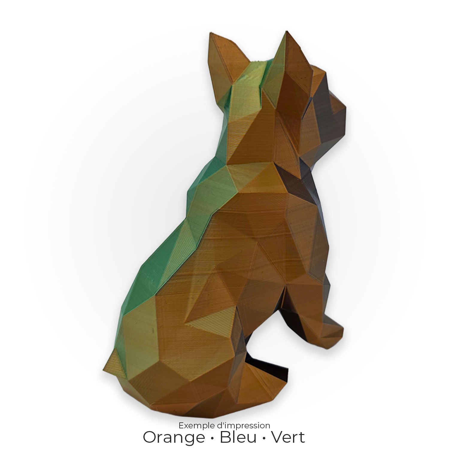bouledog-francais-lowpoly-orange-bleu-vert-4