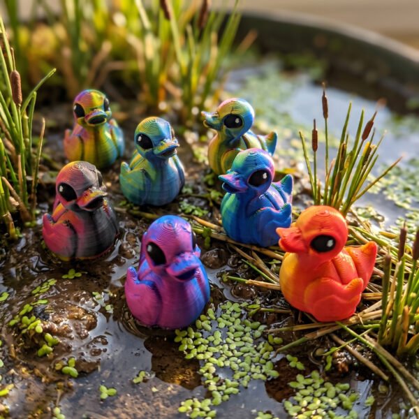 Canard Tiny Fantasia 3D